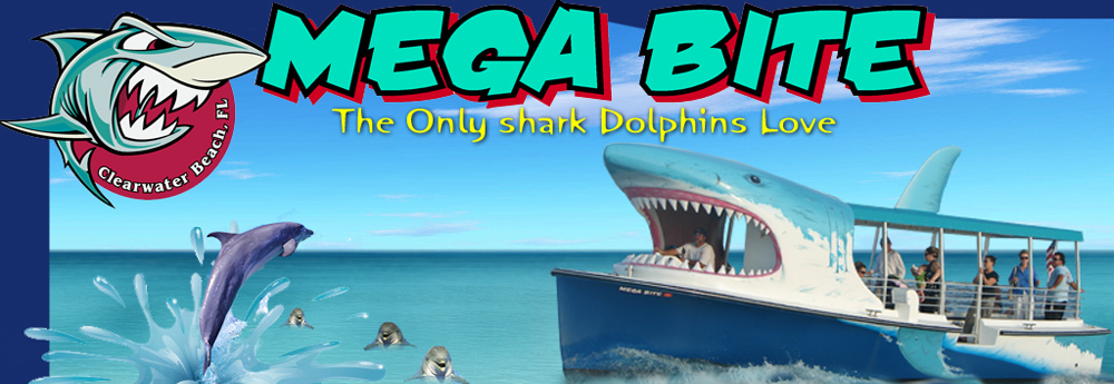 Mega Bite!  Dolphin cruises Clearwater Beach Fl